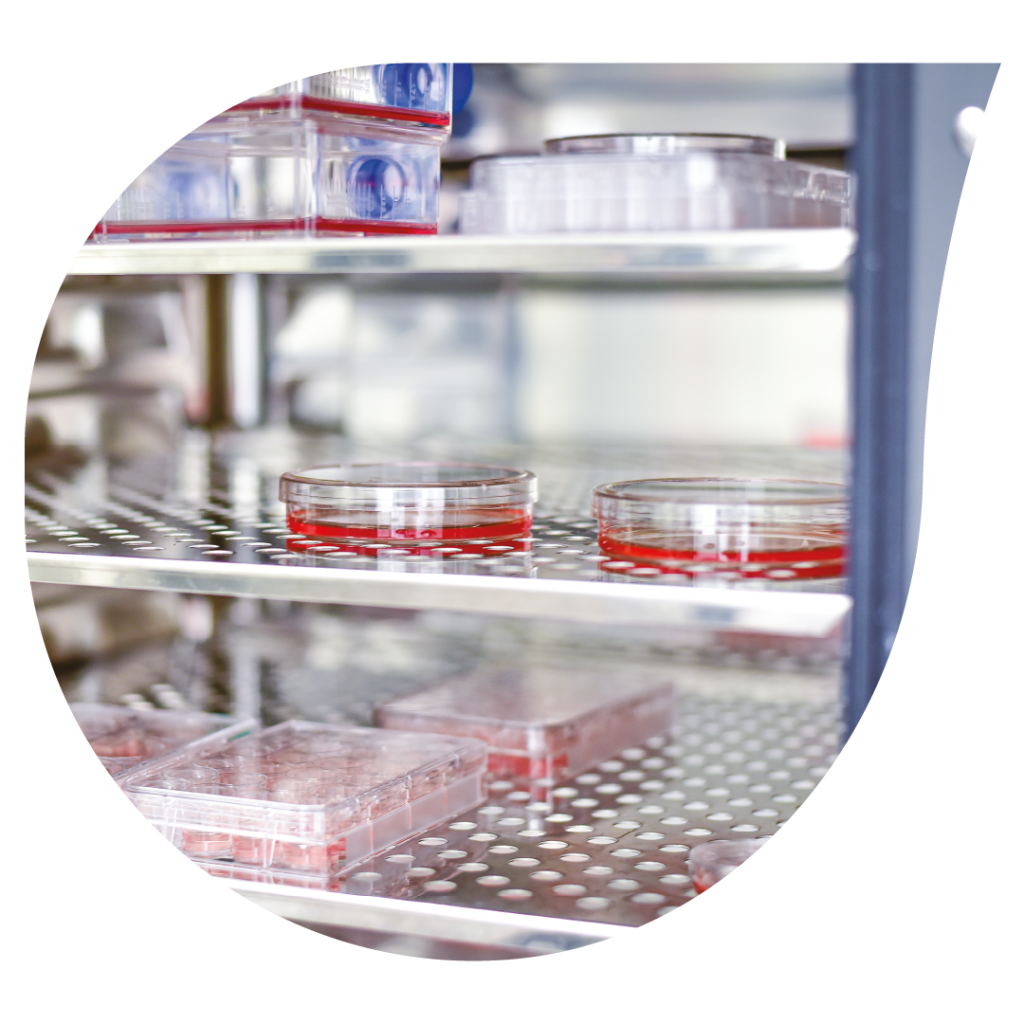 Cosmetics In vitro testing Prochemia